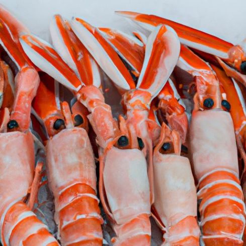 SHRIMP TOP QUALITY WHOLESALES PRAWN lobster / frozen lobster tails FROZEN RED