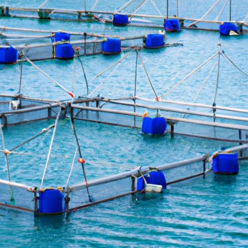 cage fish farming HDPE fish sea cage cage floating for