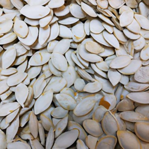 Pumpkin Seeds For Sale Roasted factory supply best Salted Snow White