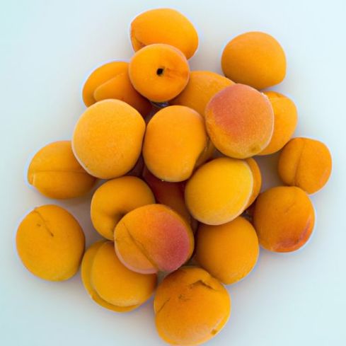 taste from Kazakhstan Premium quality natural berries apricot sweet