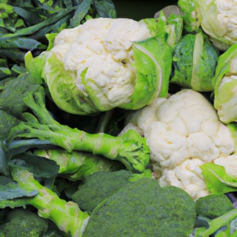 fresh vegetables wholesale China high and quick response quality fresh cauliflower broccoli