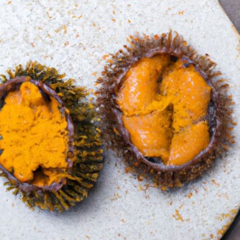 Steamed Sea Urchin Frozen Seafood sea urchin importer Condiment Premium Natural Simple