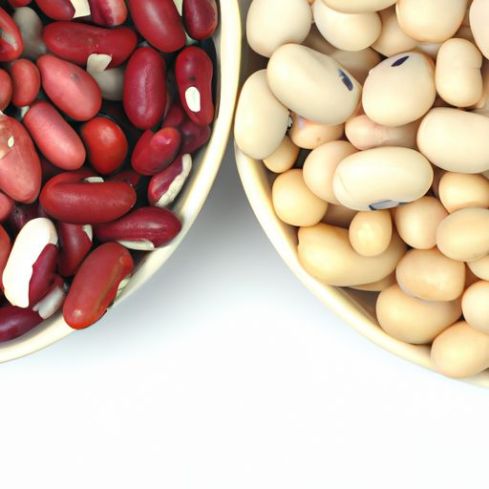 Beans Egyptian Kidney White Kidney mung bean ( Beans Large Red and White Kidney
