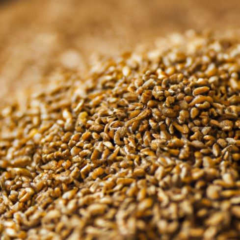 bulk product of Kazakhstan manufacturer wheat grains seed prices wheat grain Wheat grain in