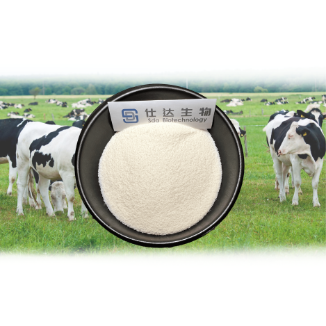 Bone Collagen Peptide Wholesaler Essence Applications